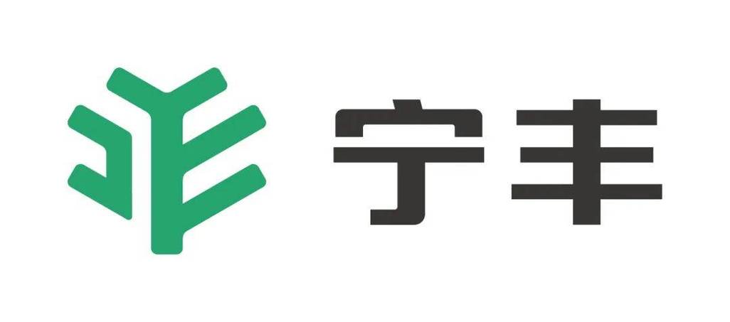 宁丰集团股份有限公司截图