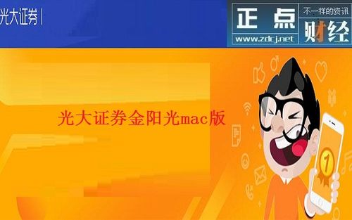 光大证券金阳光卓越版电脑版