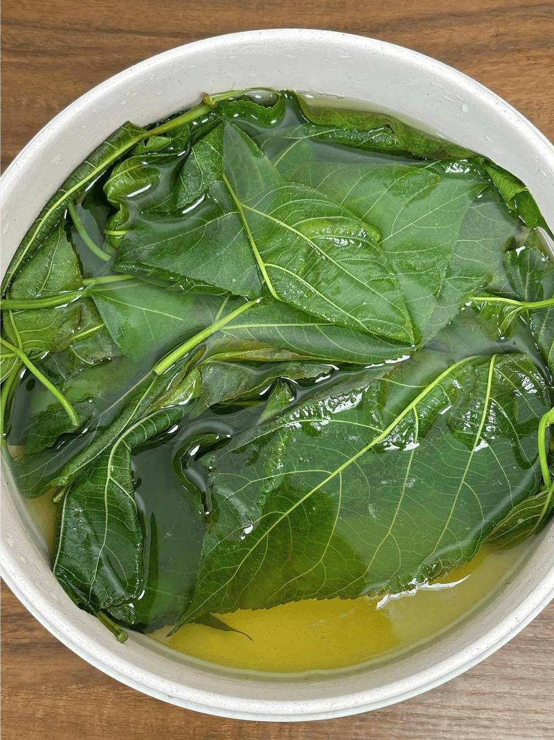 煮叶子变透明
