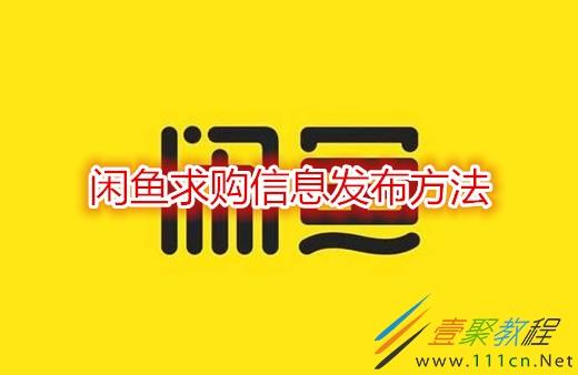 新版闲鱼求购怎么没了