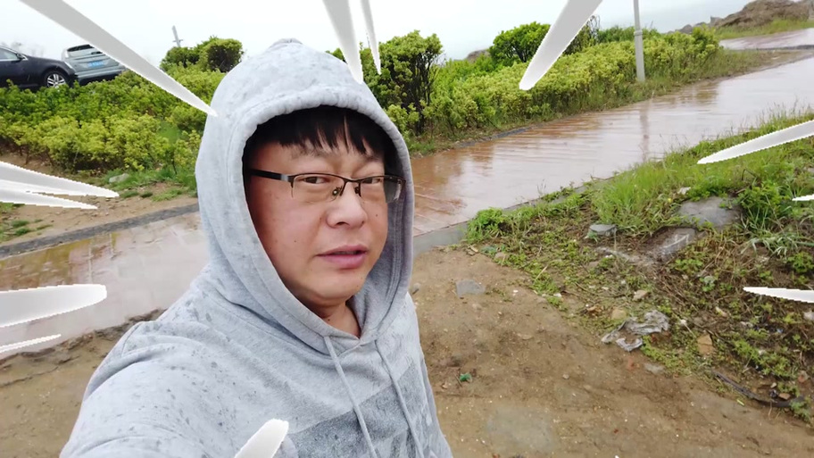 野王大坤为四只流浪狗吃饭