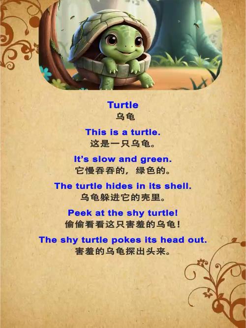 小乌龟学美语动画片