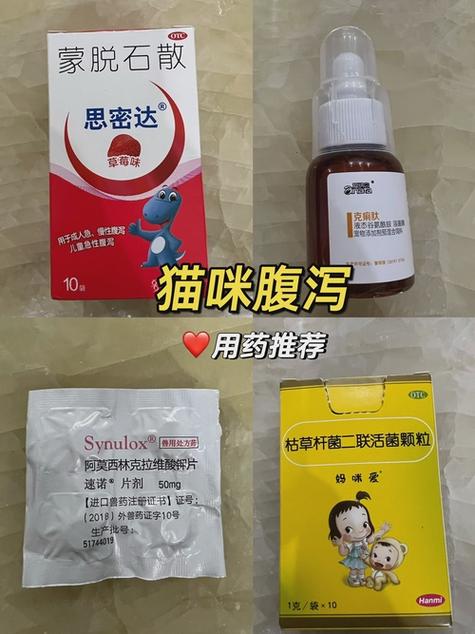 猫咪拉稀会自愈吗游戏截图