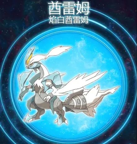 口袋妖怪漆黑魅影白色酋雷姆没洞口