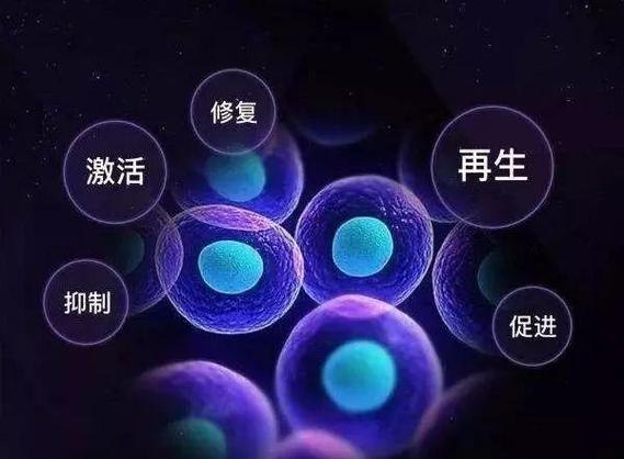 喝肽能提高性功能吗