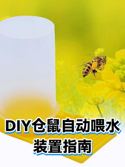 仓鼠多久喂一次水