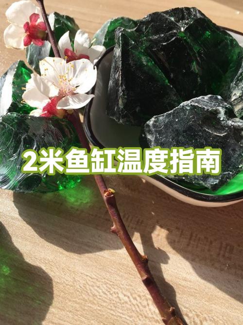 鱼缸自带温度显示不准怎么办
