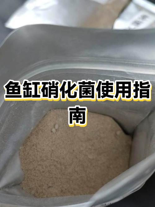 鱼缸里的硝化细菌多久加一次