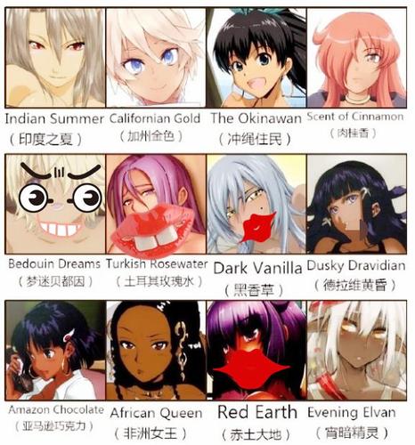 动漫库的分类