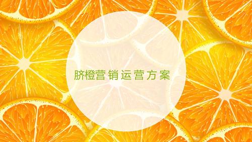 网上卖水果的营销方法