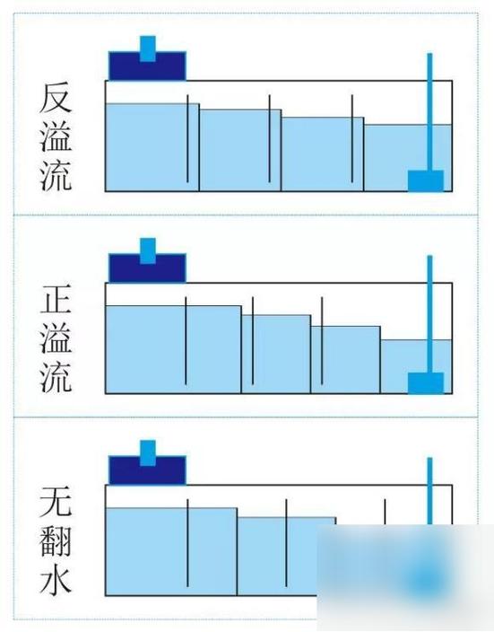 鱼缸设置时间视频教程