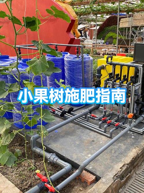 果树什么时候施肥最好