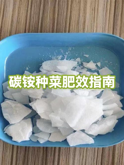 种菜用什么肥料最好