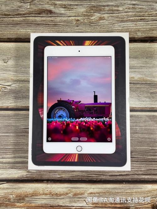 ipadmini5插卡版截图