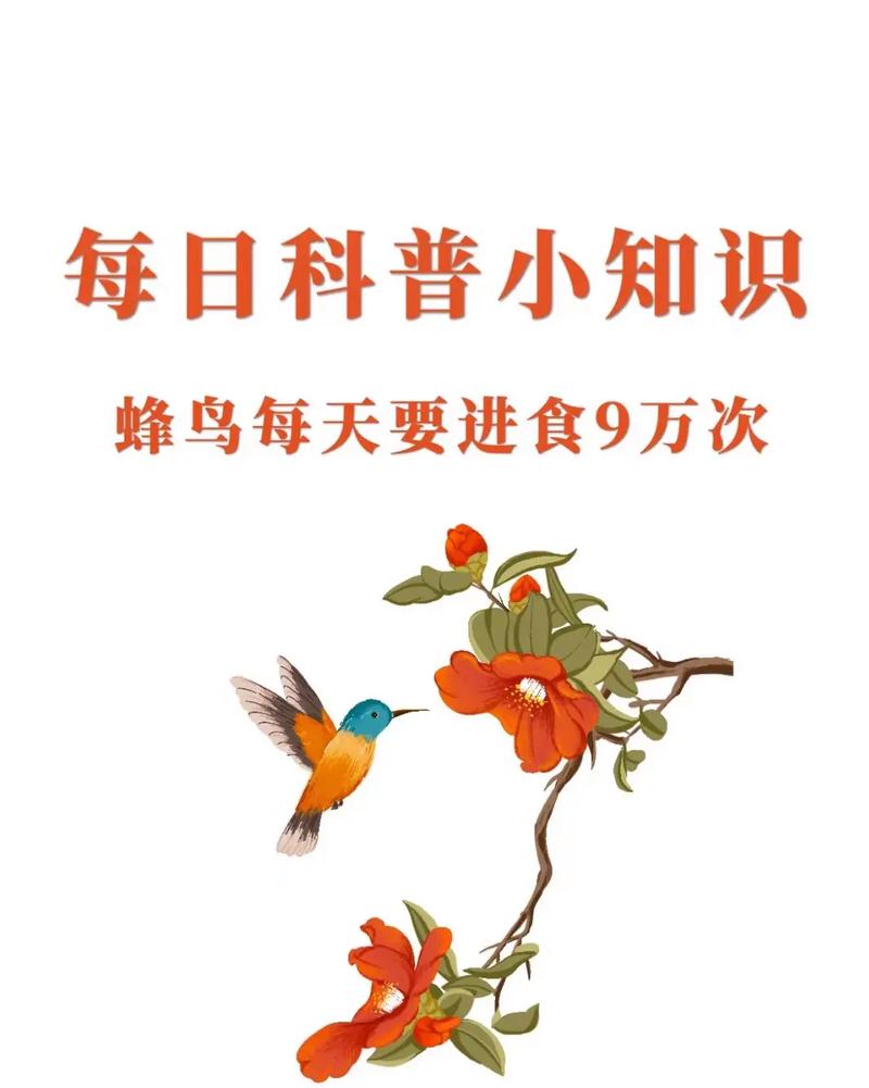 蜂鸟众包无法注册什么原因图标