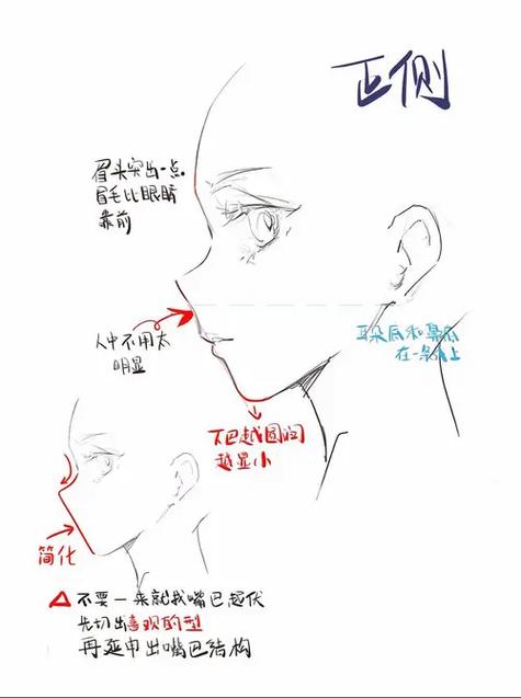 女生侧脸怎么画