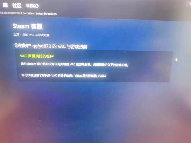 steam开了权限访问摄像头权限没有了