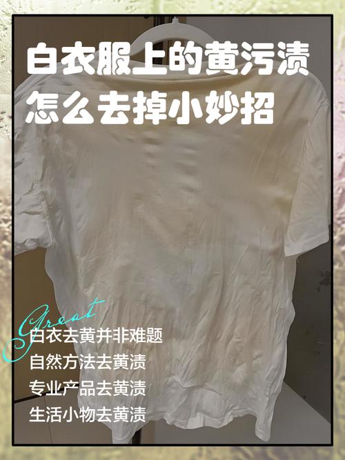 白衣服祛黄的小窍门游戏截图