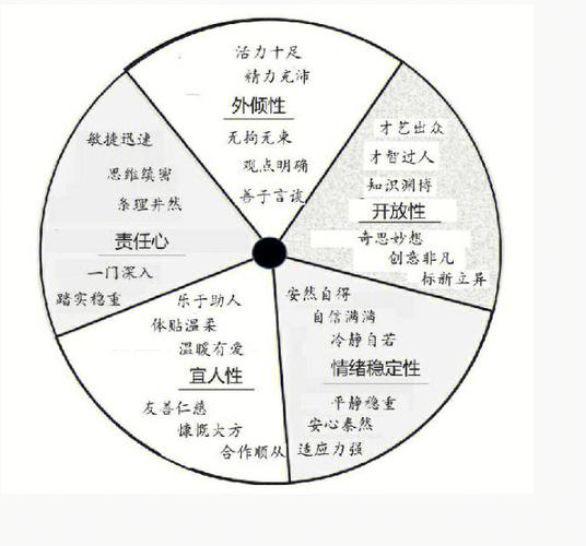 大五人格哪个版本最好截图