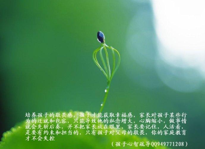 微图微语作品