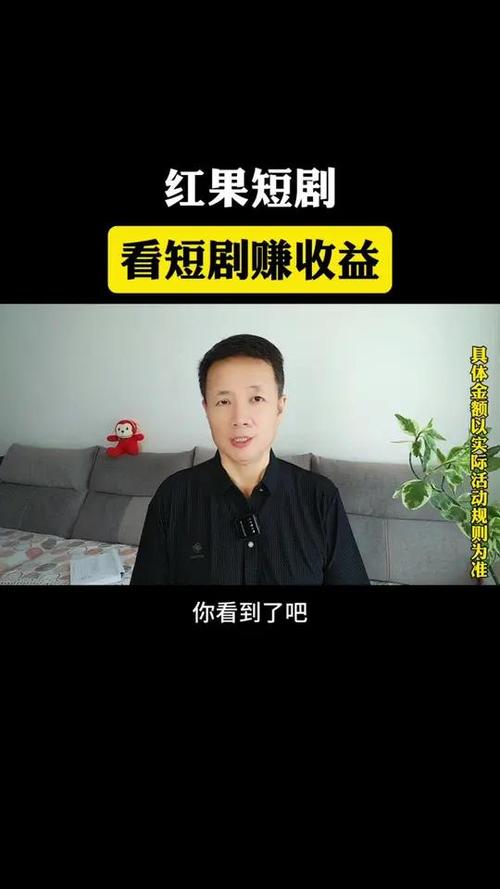 有看电视剧赚钱的吗