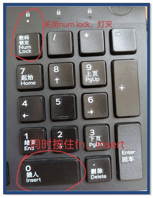 键盘输入一个字后面会消失一个字截图