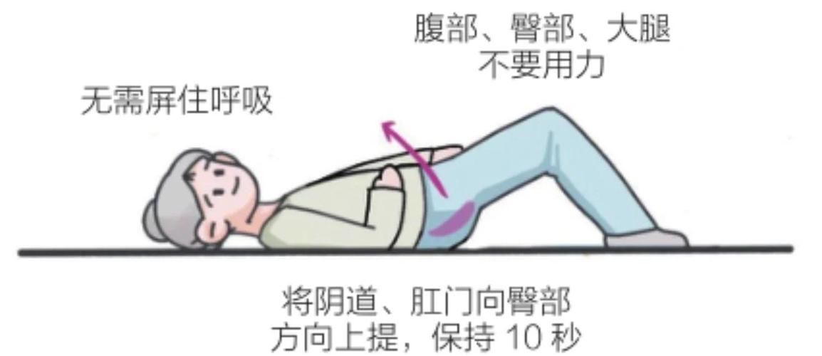盆底肌训练10个动作图解