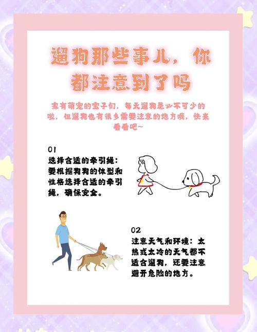 遛狗认识的