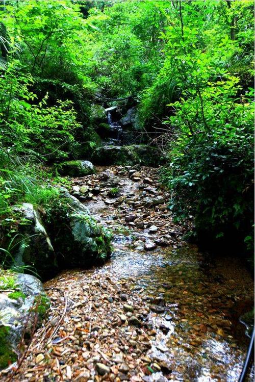 悠闲山村打野直播间上山下山忙图标