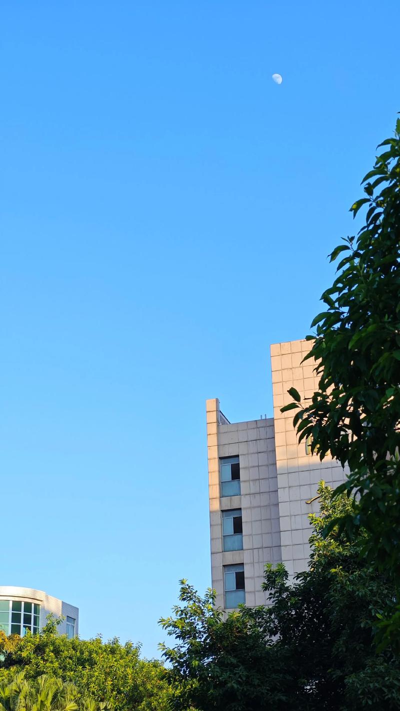 校园刷脸支付怎么关闭