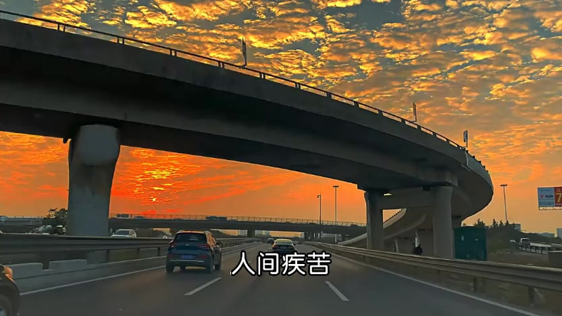 《尝尽人生苦》原唱网红人间疾苦