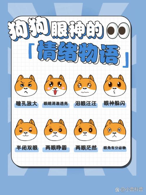 微信狗狗表情包含义图解
