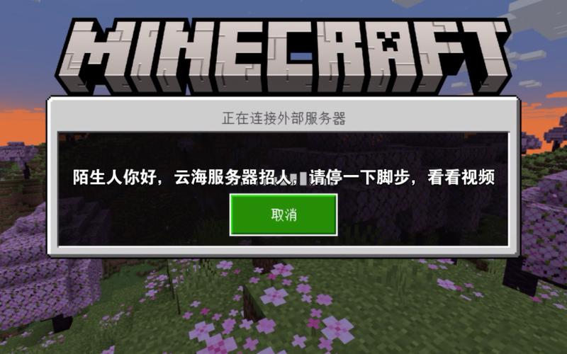 我的世界延迟低的服务器