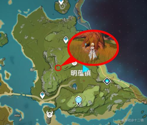 原神孤木孑立任务攻略