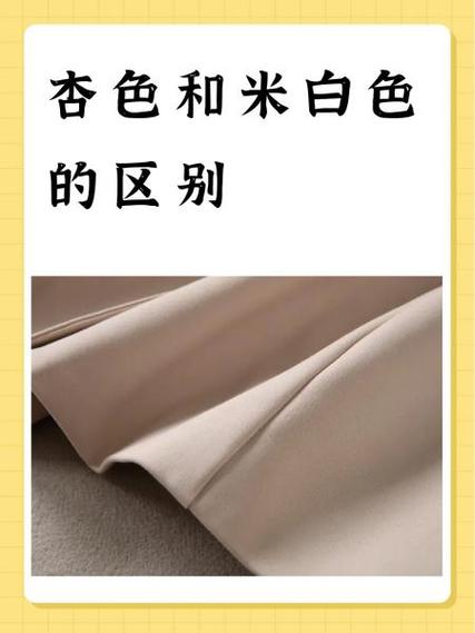 杏色阅读器截图
