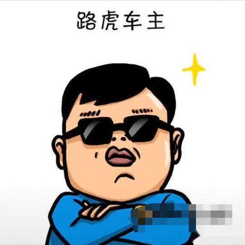 开什么车对应什么人图