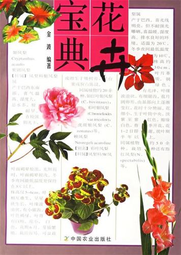 绝版花怎么刷最划算