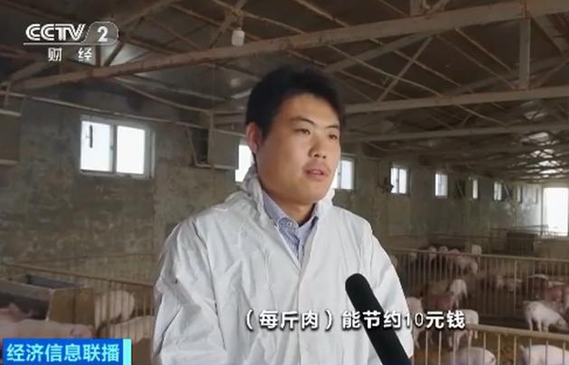 手机云养猪