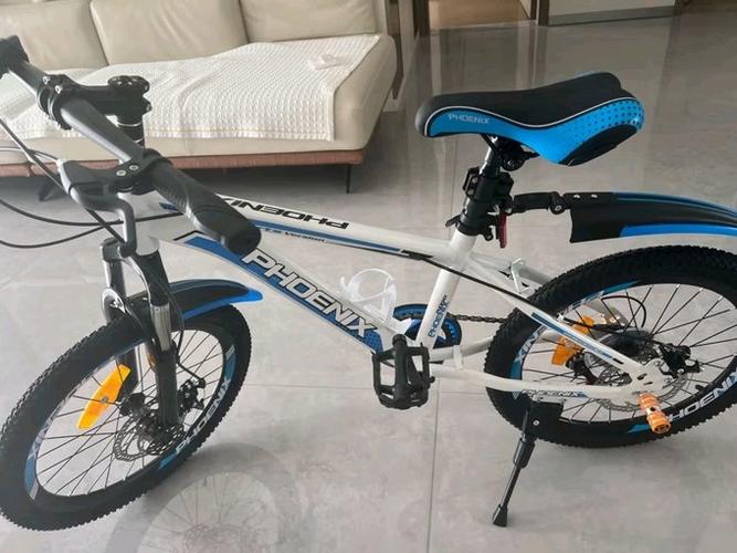 凤凰牌儿童自行车正品和图片截图