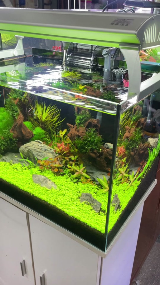 玻璃缸造景不放水图标