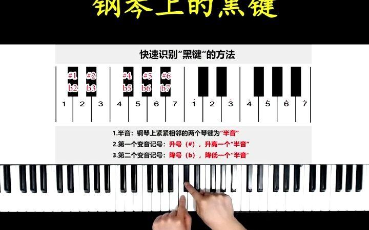 钢琴只弹黑键