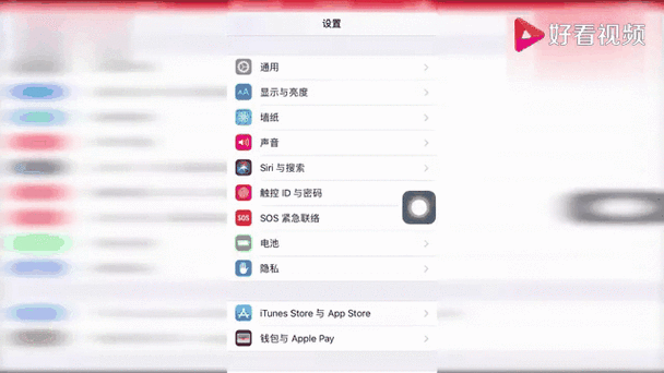 iPhone怎么启用开发者选项