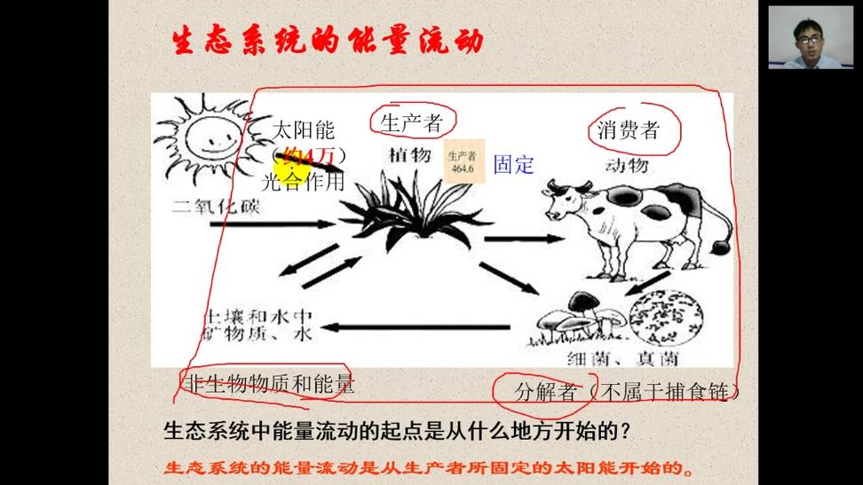 能量的流动方向由什么决定缩略图