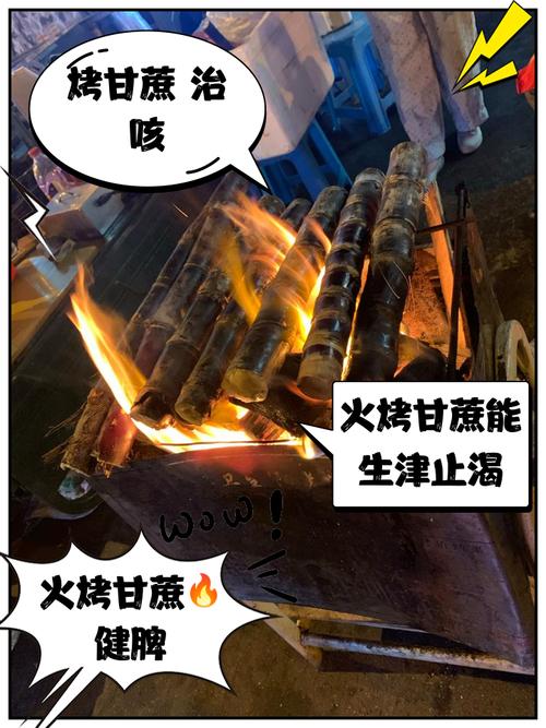 甘蔗旁边放火把真的有用吗