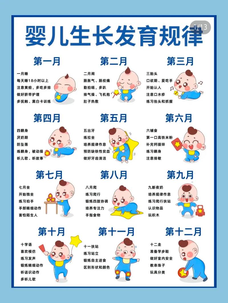 小月月出生年月