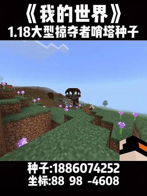 掠夺者哨塔种子