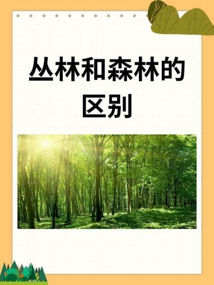 森林和树木之间是什么关系