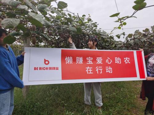 懒赚宝怎么赚钱