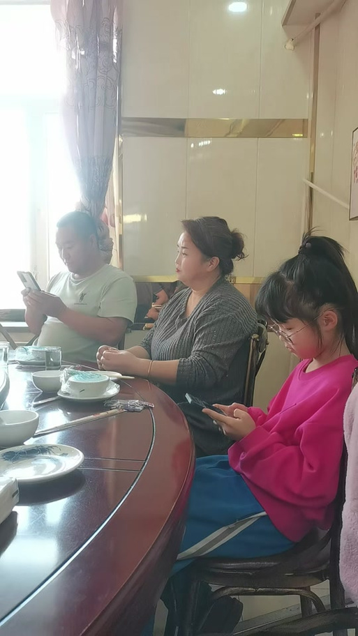 亲情会王芳高敏大团圆最新章节阅读截图
