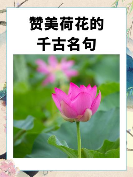怡然的千古名句